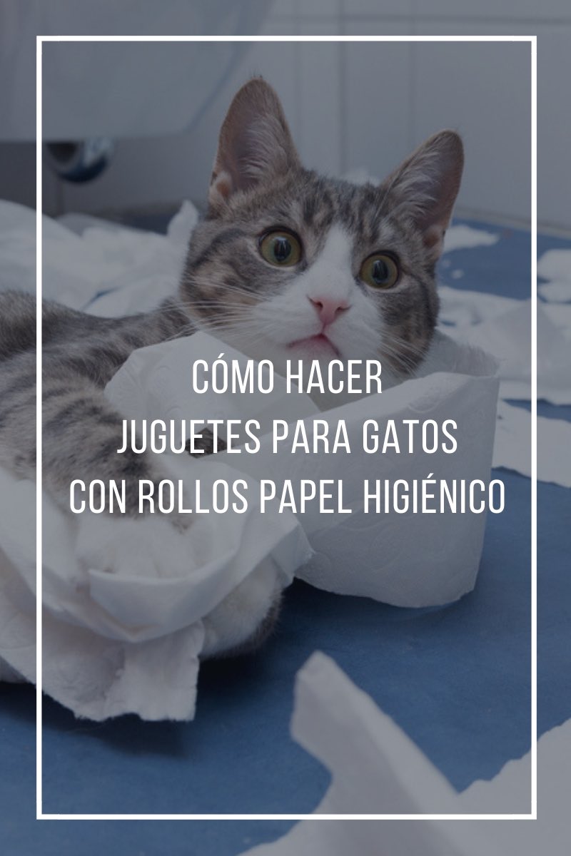 Cómo hacer juguetes para gatos con rollos de papel higiénico