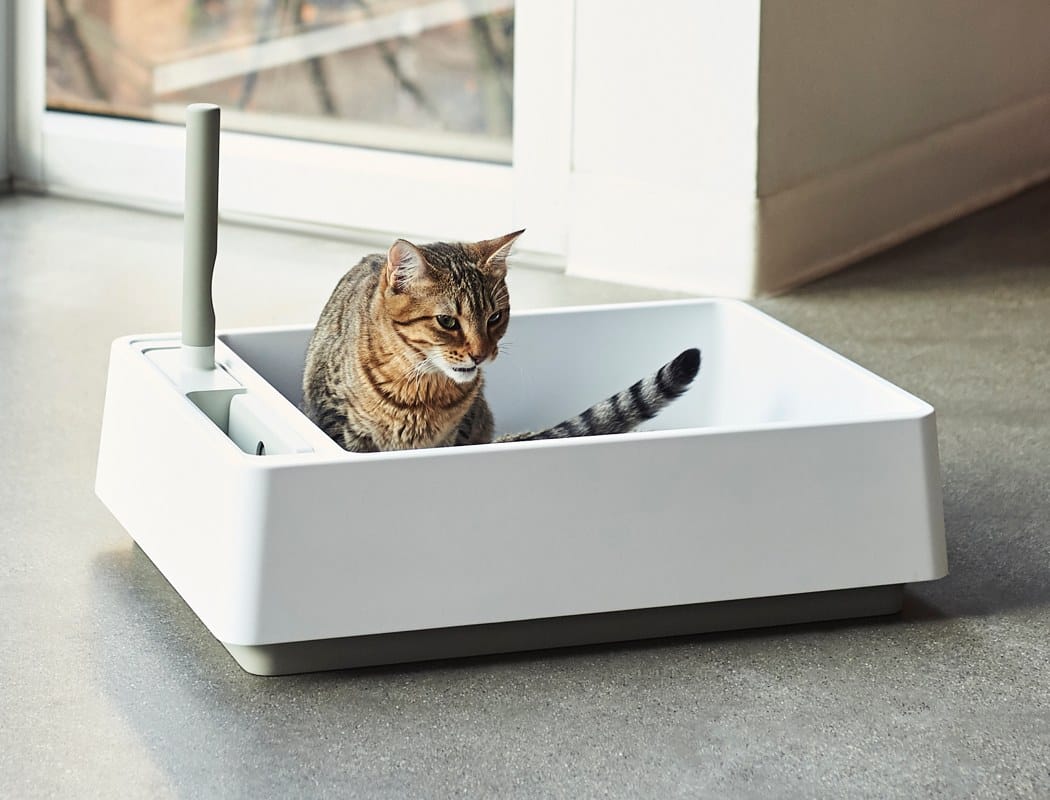 pila adherirse querido Cove, la caja de arena para gatos minimalista que avergüenza a los muebles  de Ikea