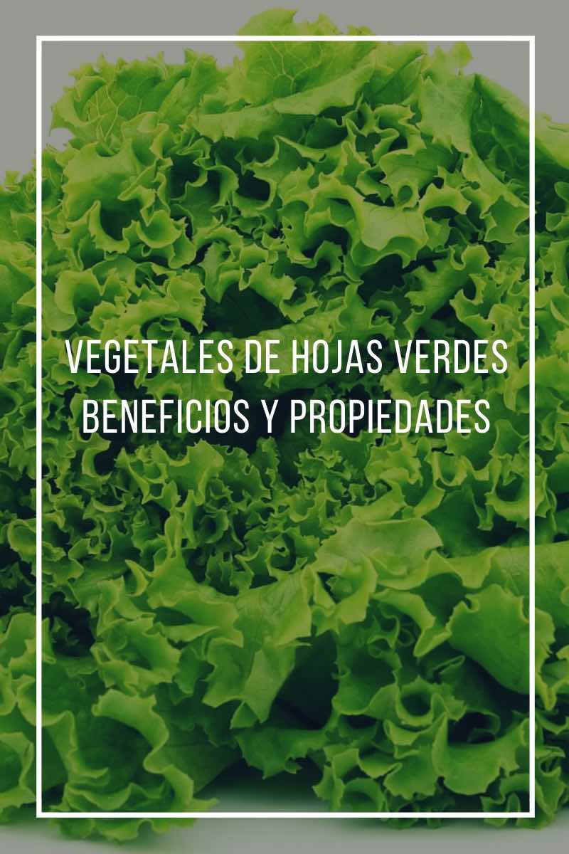 Vegetales de hojas verdes, beneficios y propiedades