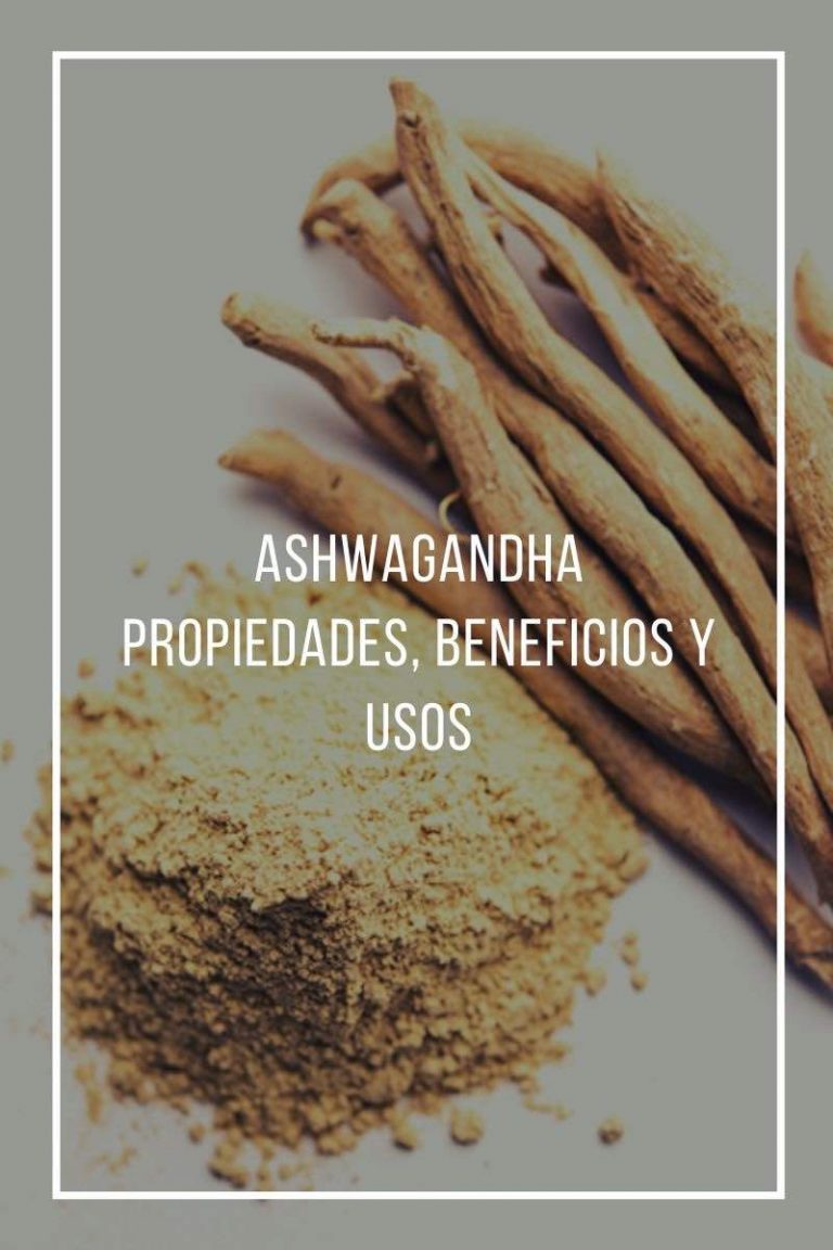 Ginseng Indio El Angel De Tu Salud