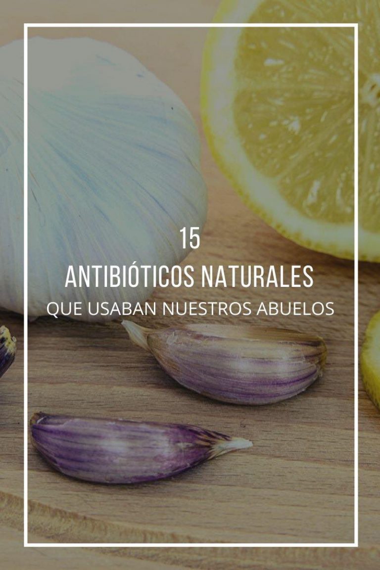 15 Antibióticos Naturales