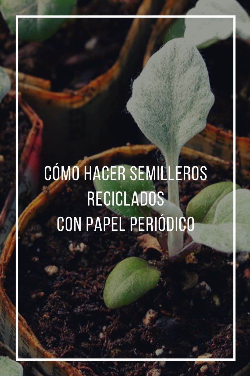 Cómo hacer semilleros reciclados con papel periódico