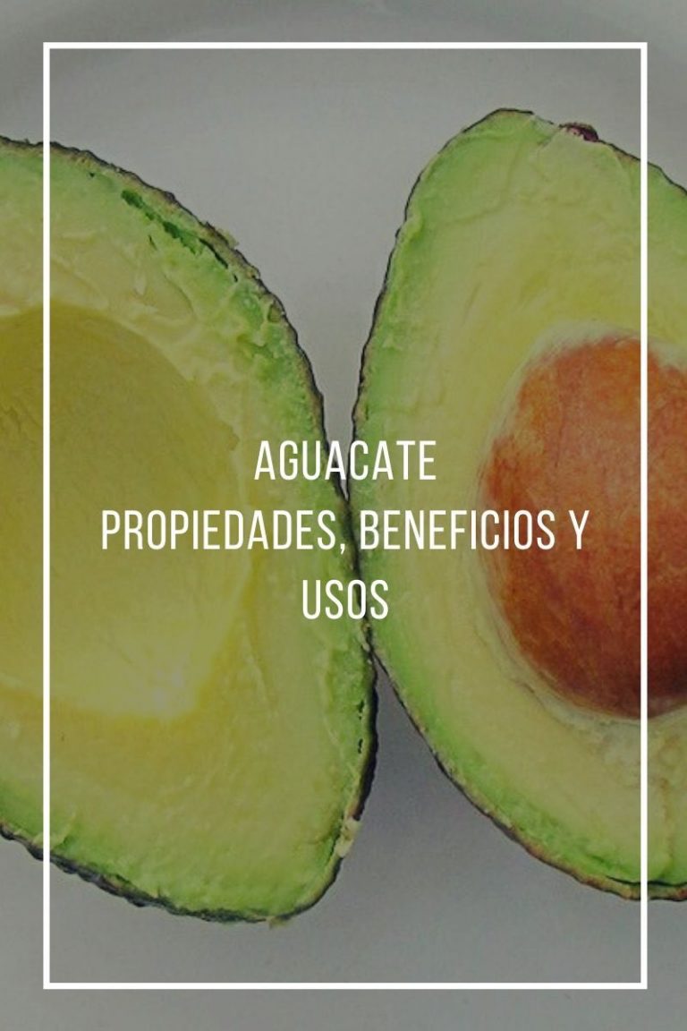 Beneficios Propiedades Y Usos Del Aguacate 1945