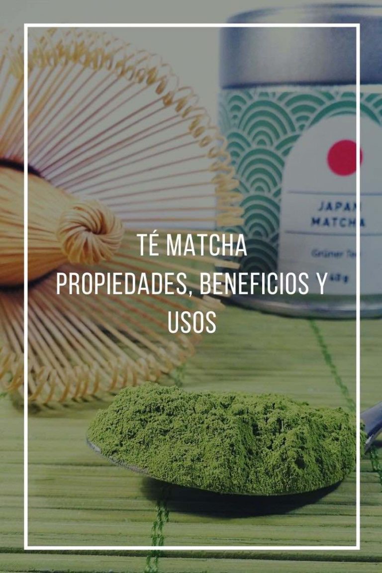 Propiedades Beneficios Y Usos Del Té Matcha 7094