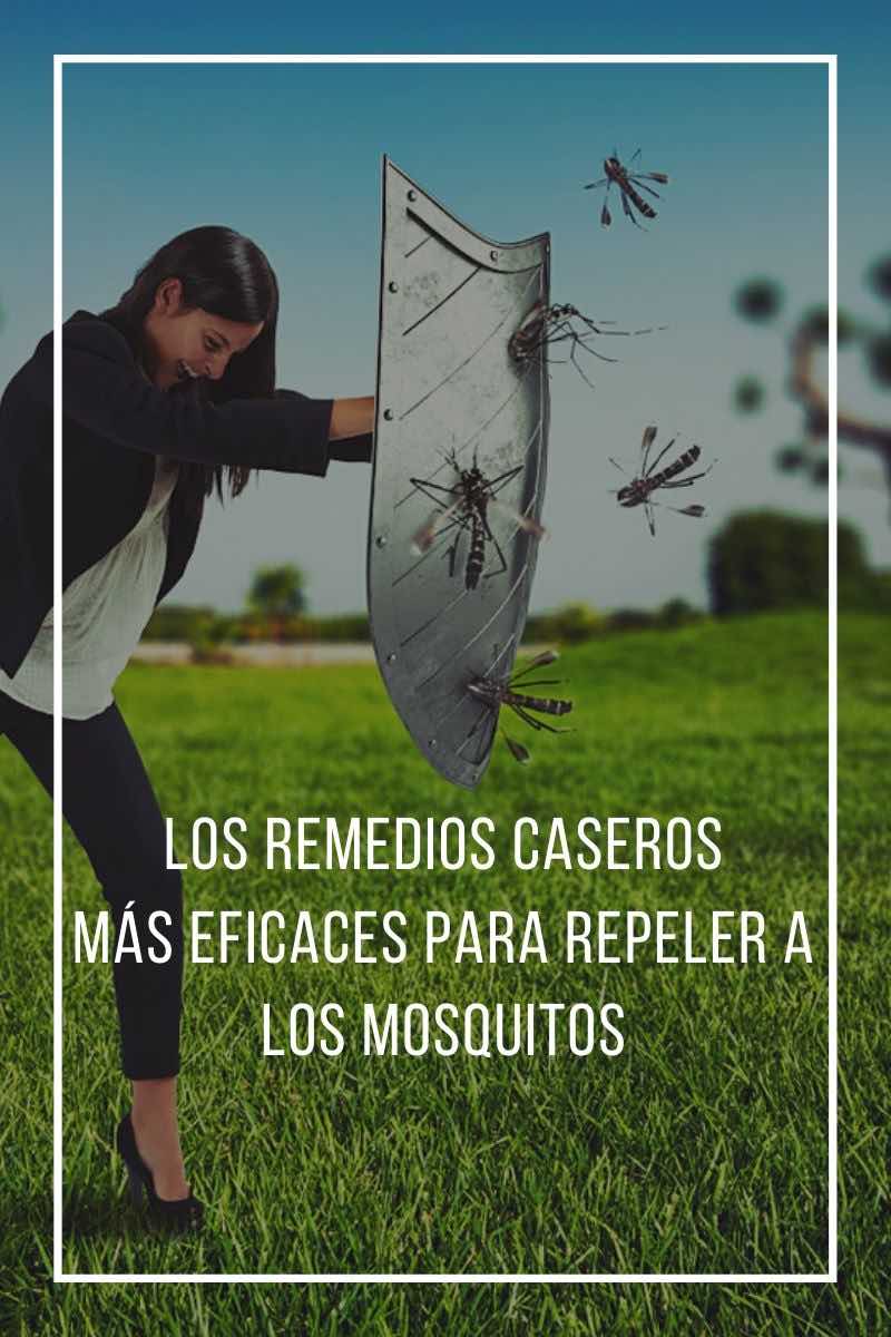 Los remedios caseros más eficaces para repeler a los mosquitos