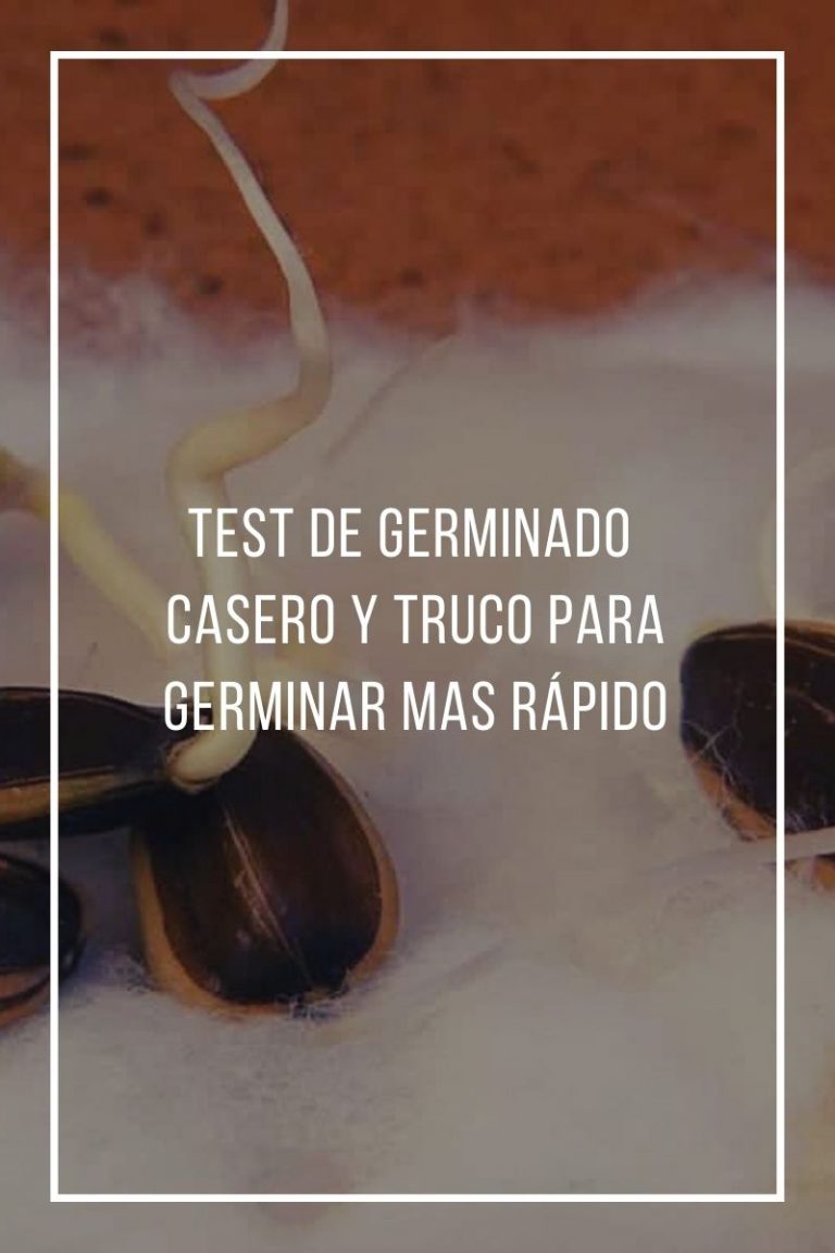 Trucos Caseros Para No Eyacular Tan Rapido