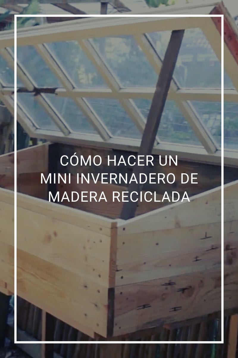 Cómo hacer un mini invernadero de madera reciclada