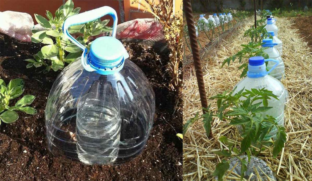 Sistema de riego por goteo solar con botellas de plástico - Arado