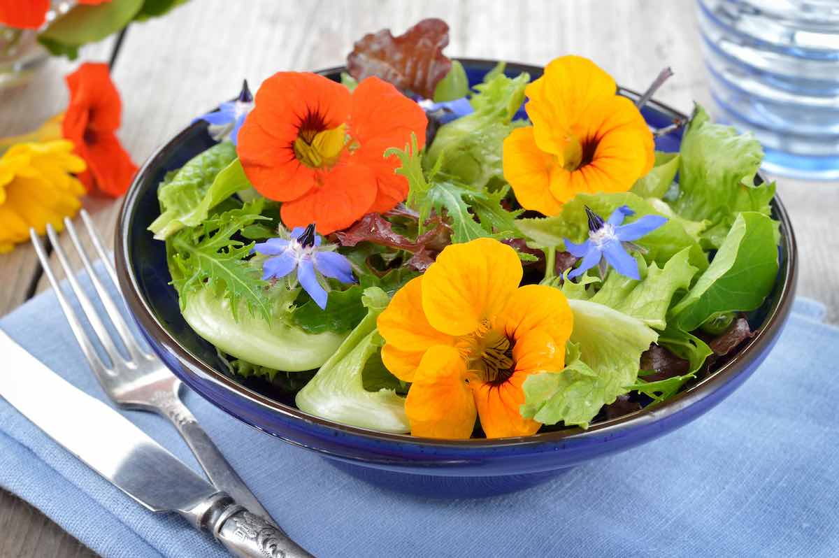 Flores comestibles que puedes comer directamente de tu jardín