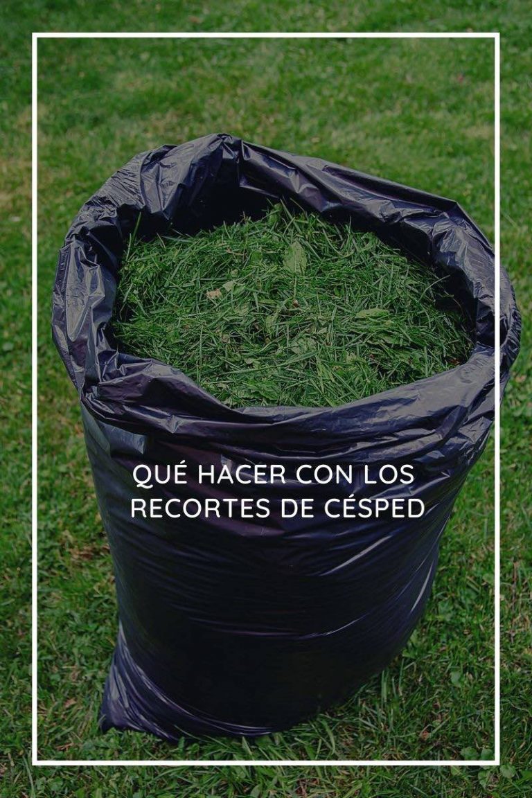 Qué hacer con los recortes de césped