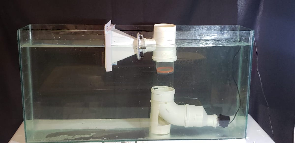 palo terciopelo jamón Estudiante crea un sistema que filtra los microplásticos del agua