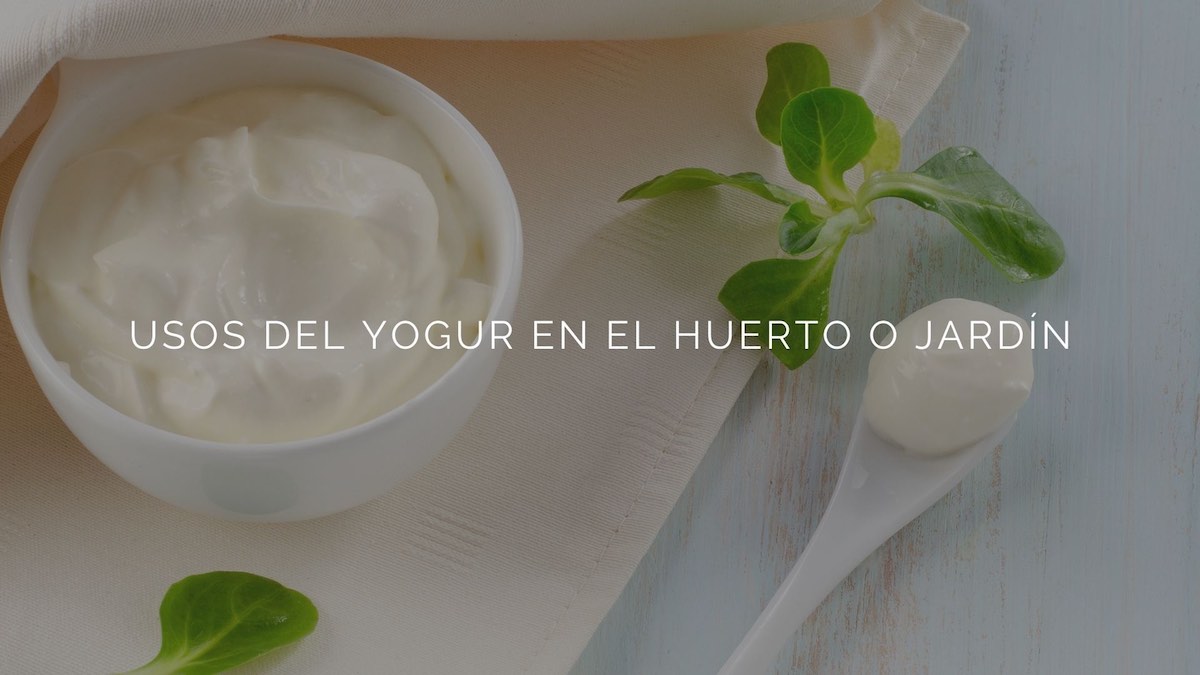 Usos-del-yogur-en-el-huerto