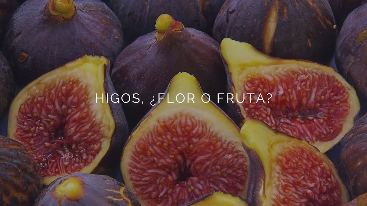Higos-flor-fruta