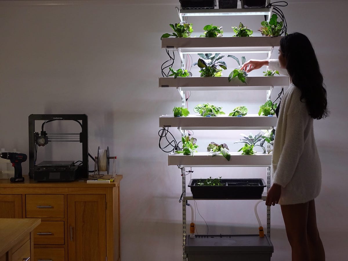 El sistema vertical hidropónico que podrás hacer tu mismo para cultivar tu propia comida