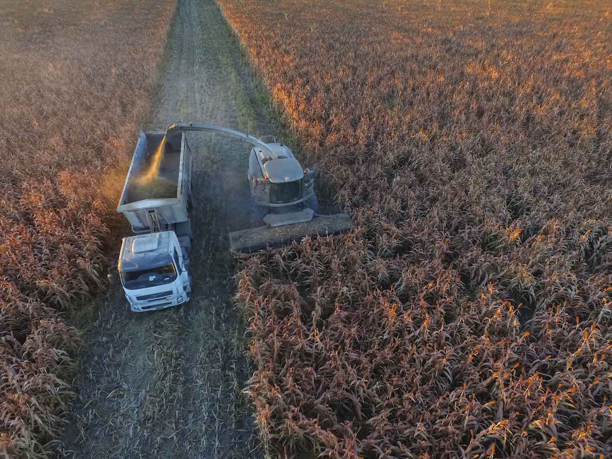 Agricultura-intensiva-argentina