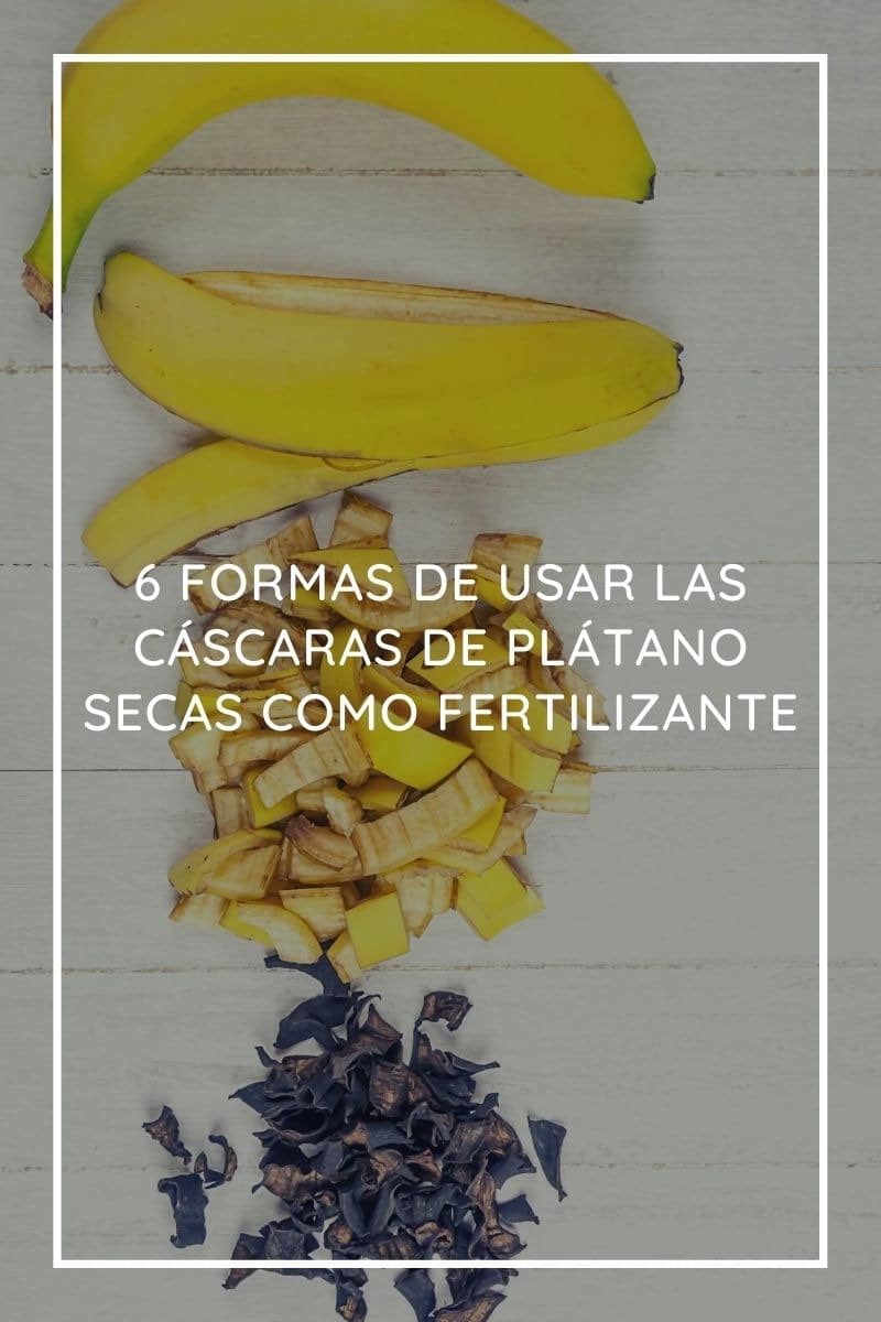 6 formas de usar las cáscaras de plátano o banana secas como fertilizante