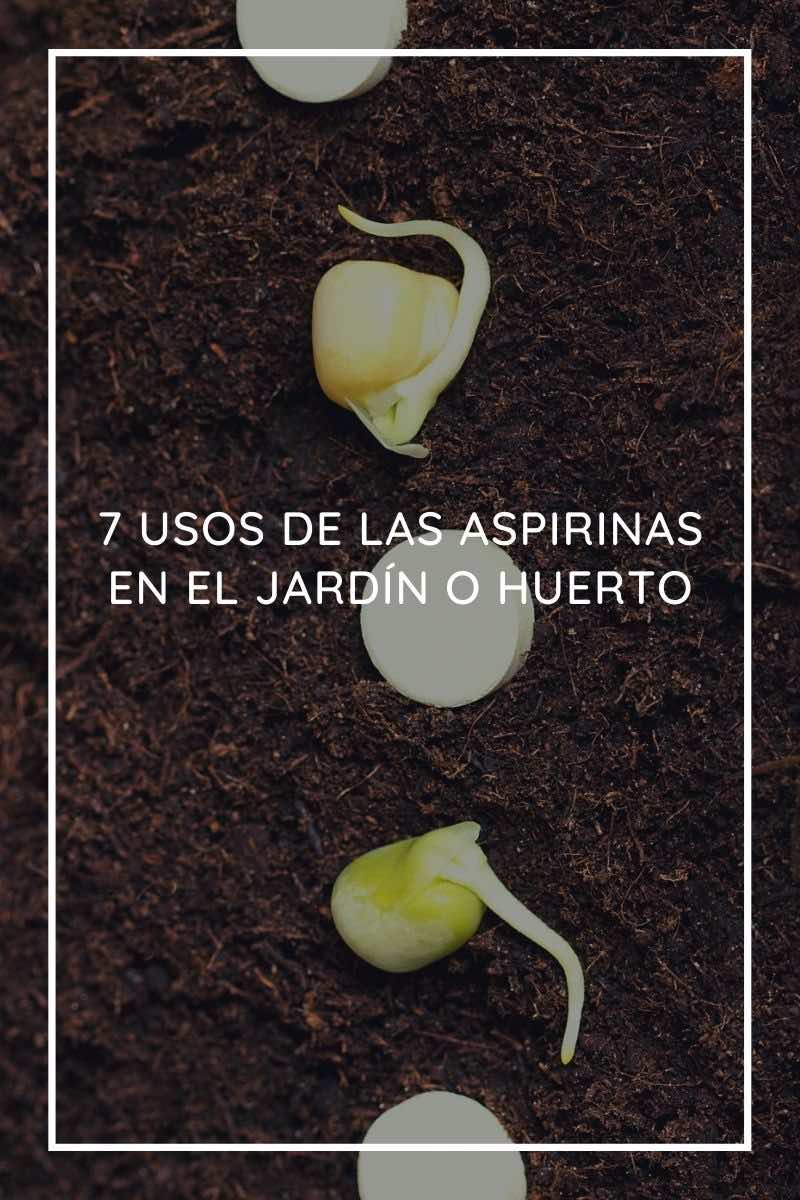 7 usos de las aspirinas en el jardín o huerto