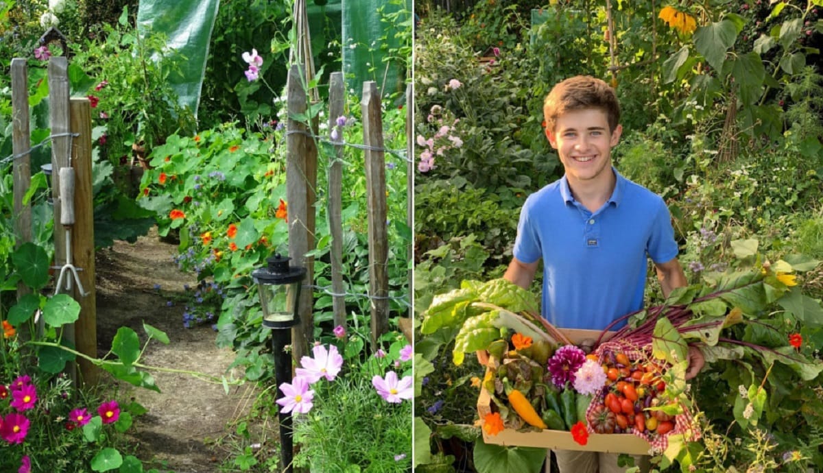 Un joven crea un oasis de alimentos ecológicos en sólo 15 m²