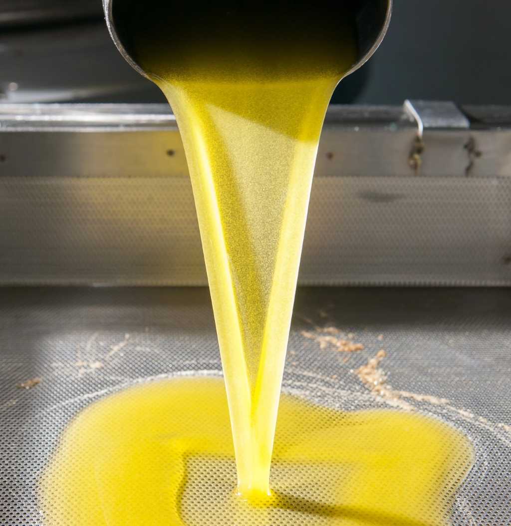 La imagen muestra el proceso de obtención de aceite de oliva, donde un chorro de aceite de color dorado y brillante fluye de una prensa industrial sobre una superficie metálica. Este momento captura una fase crucial en la producción del aceite de oliva, destacando la pureza y la calidad del producto recién extraído.