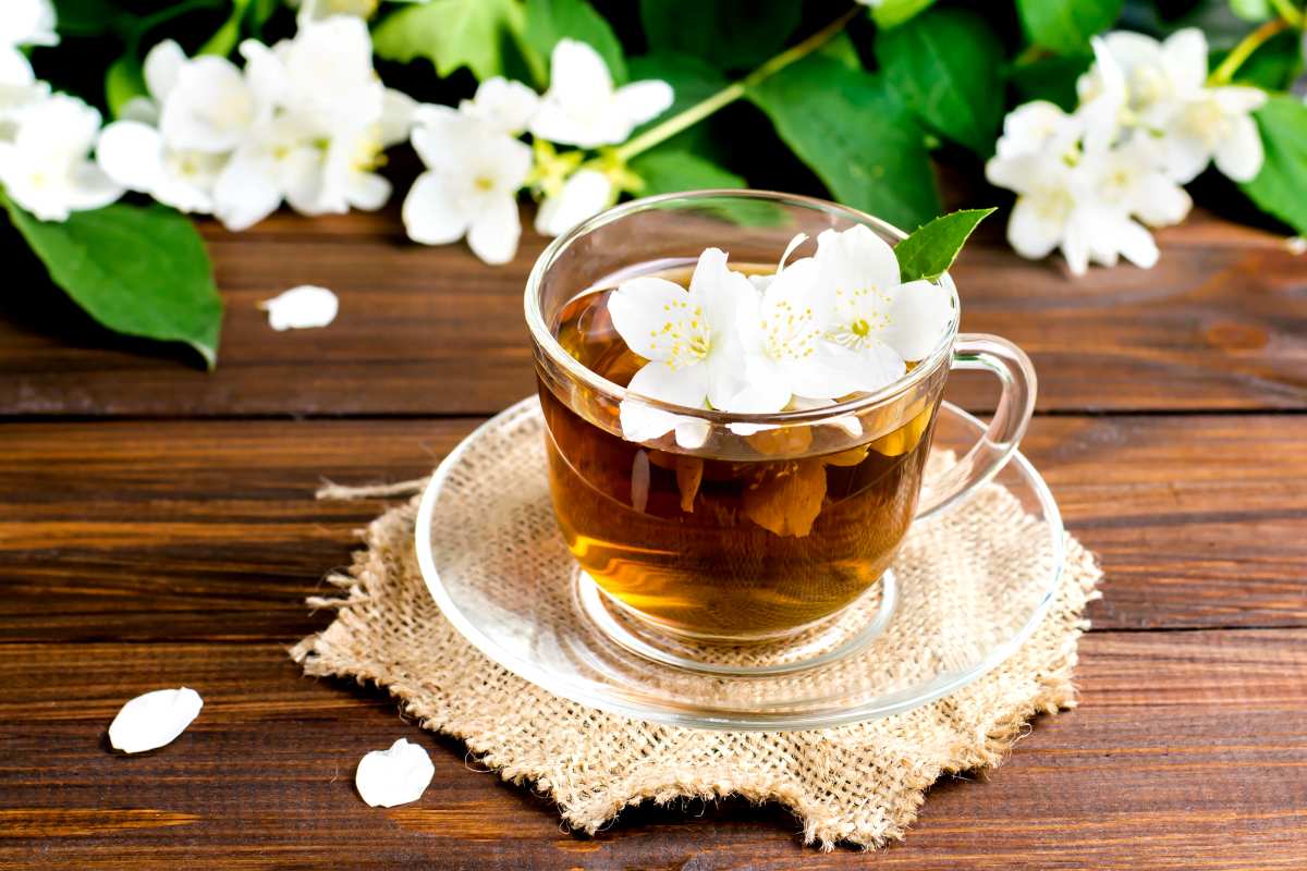 Propiedades, beneficios y usos del té de jazmín