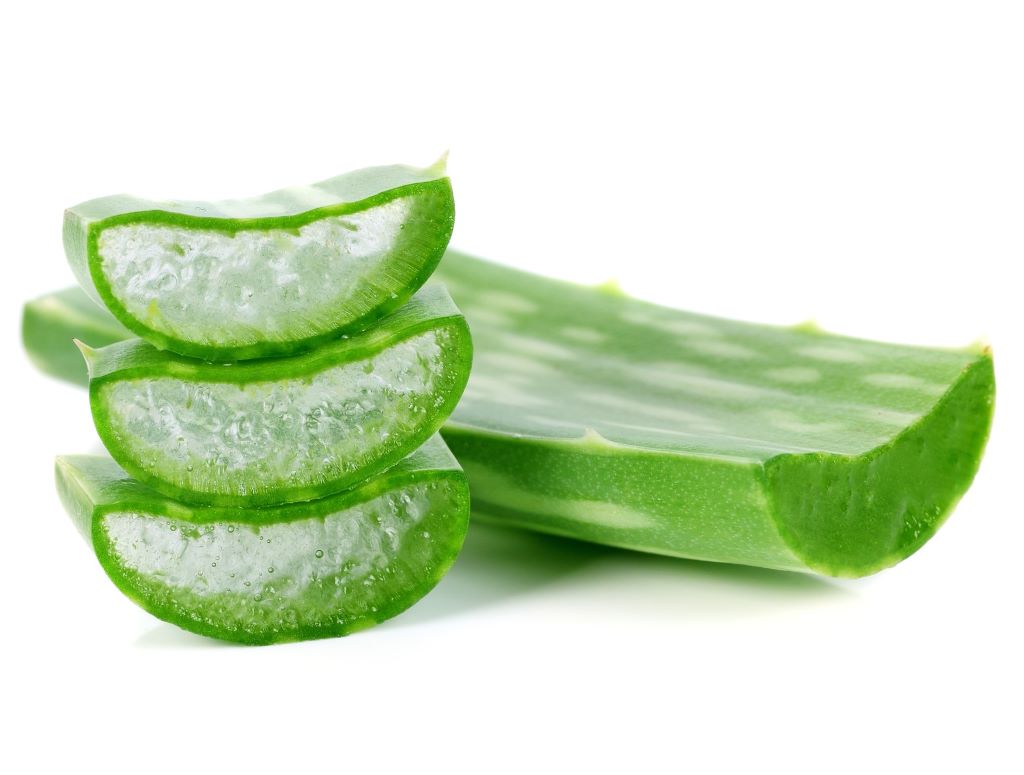 La imagen muestra varios trozos de aloe vera cortados en secciones gruesas, apilados sobre una superficie blanca. Se puede apreciar claramente el gel translúcido y jugoso en el interior de las hojas, resaltando la frescura y las propiedades hidratantes del aloe vera. La imagen destaca la pulpa carnosa de la planta, comúnmente utilizada en productos de cuidado personal y remedios naturales.