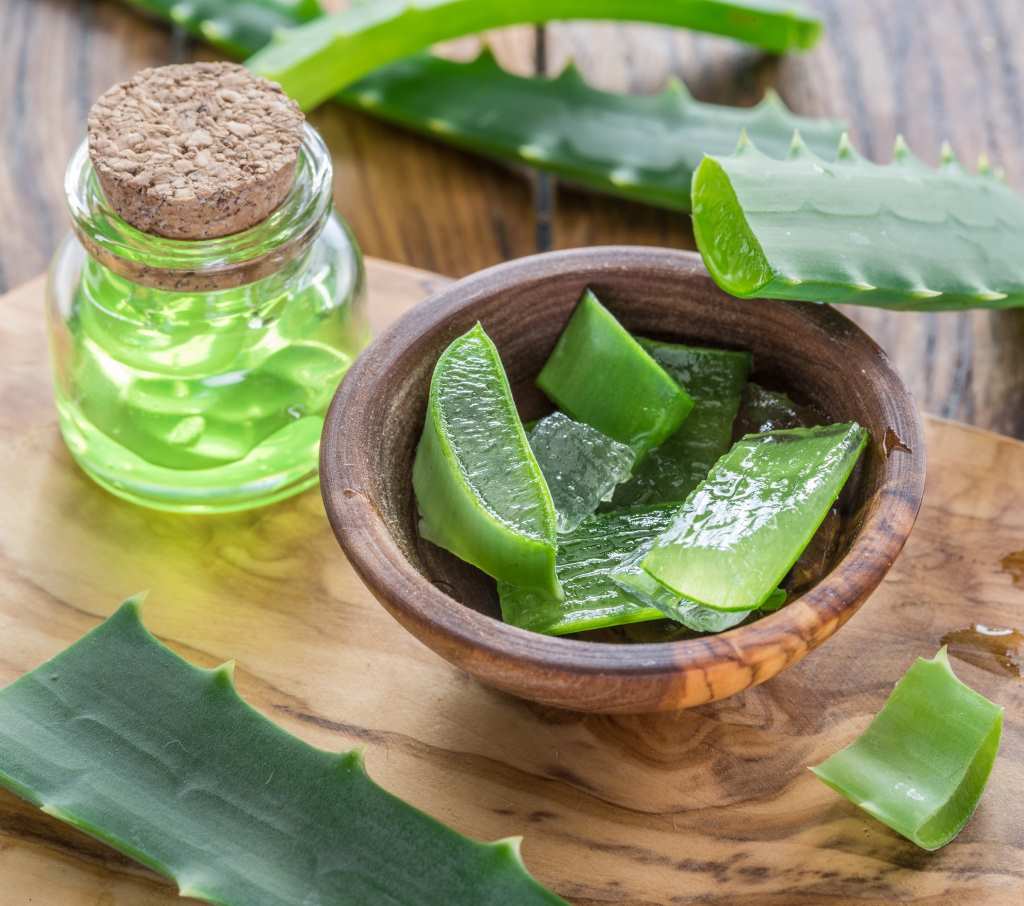 Esta imagen muestra trozos frescos de hojas de aloe vera cortadas, con gel transparente visible en su interior, colocados en un tazón de madera. Al fondo, hay un frasco pequeño de vidrio con gel de aloe vera de color verde, tapado con un corcho. La escena sugiere la preparación o uso de aloe vera natural para fines cosméticos o medicinales.