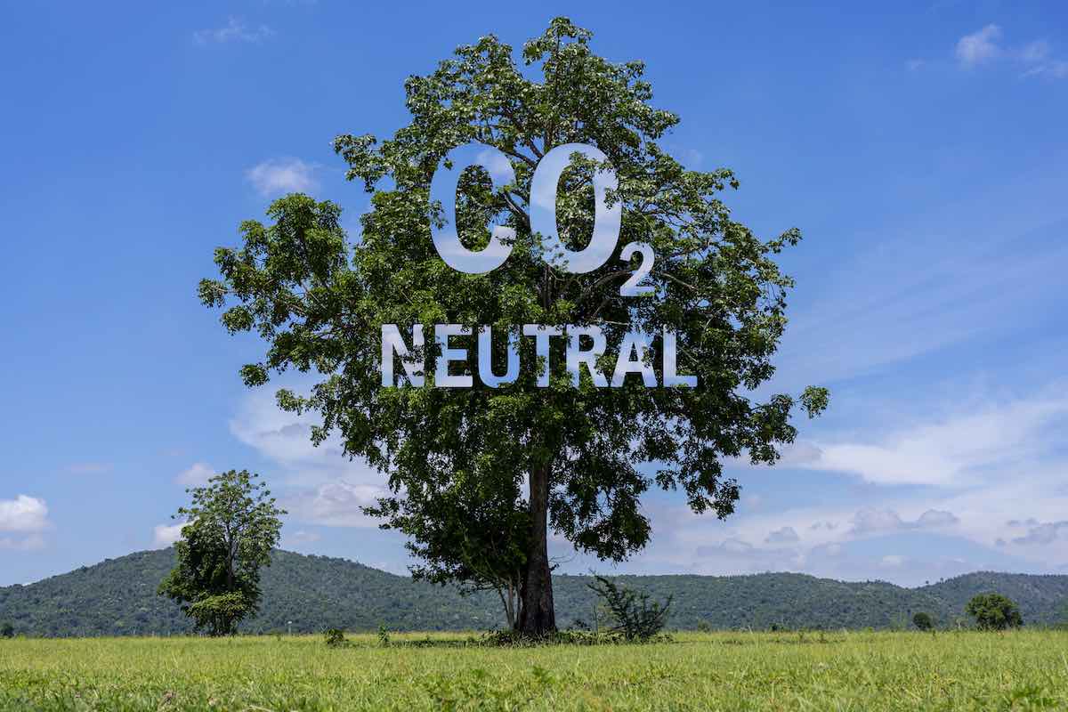 neutralidad de carbono o Net Zero