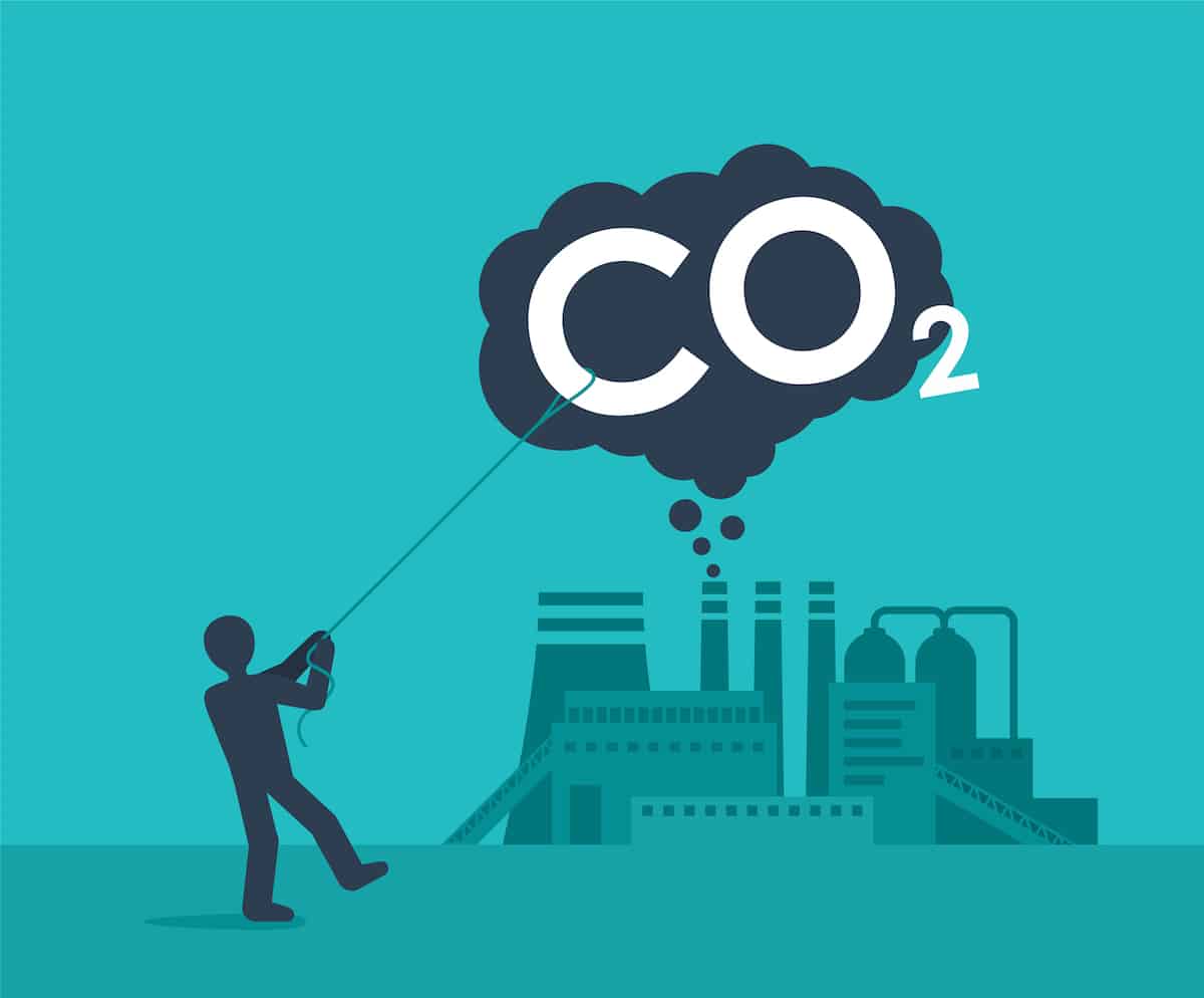 ¿Qué es el secuestro de carbono?