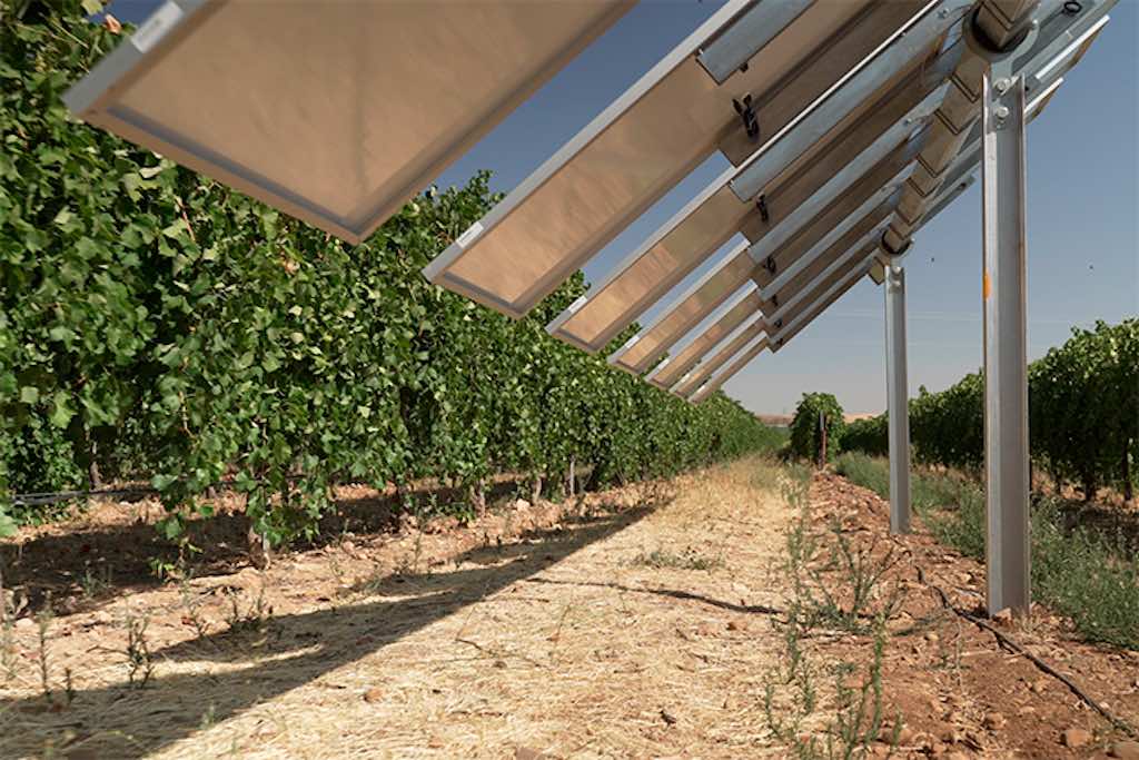 Paneles fotovoltaicos junto a viñedos