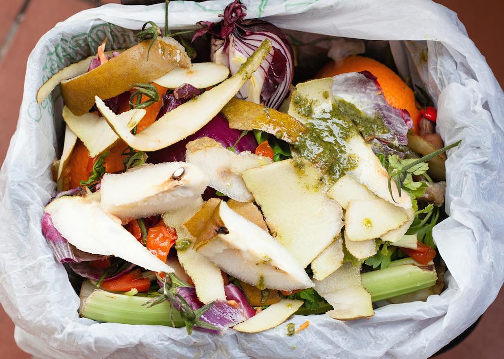 ¿Qué puedes hacer para reducir el desperdicio alimenticio en tu casa?