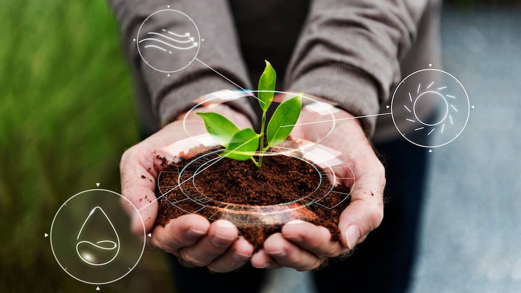 La Importancia De La Ecolog a En La Agricultura