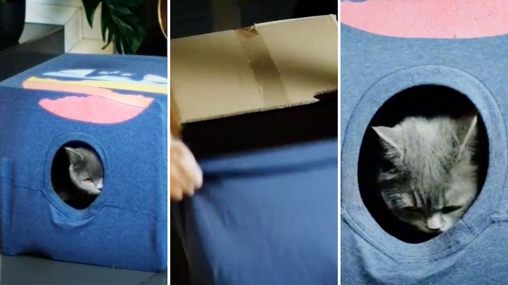 Cómo hacer la casa más sencilla del mundo para tu gato con una caja de cartón y una camiseta vieja