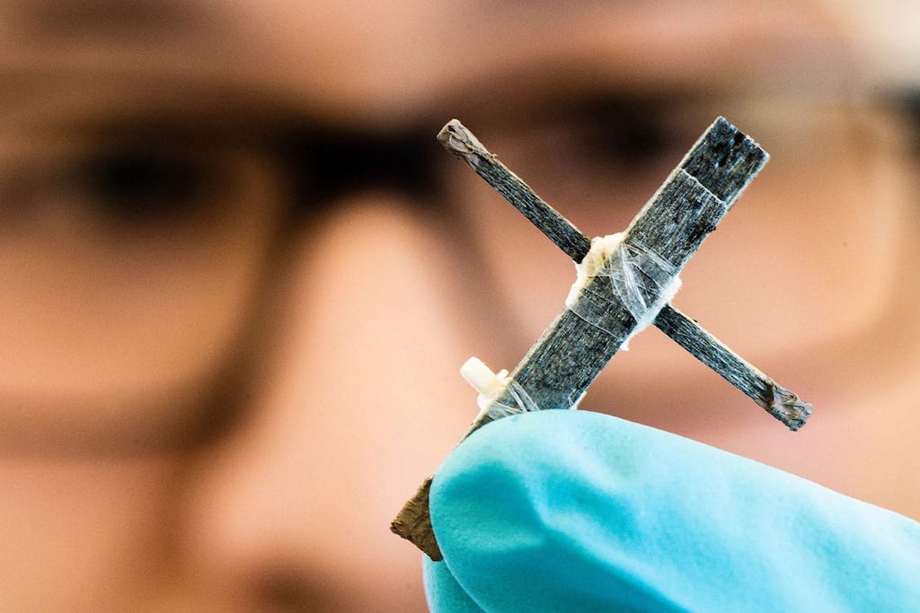 Investigadores desarrollan el primer transistor eléctrico del mundo fabricado con madera