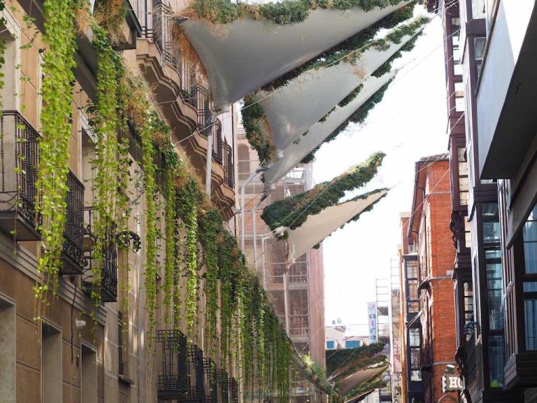 Green Shades, El Invento De Una Cubierta Vegetal Para "climatizar" Y ...