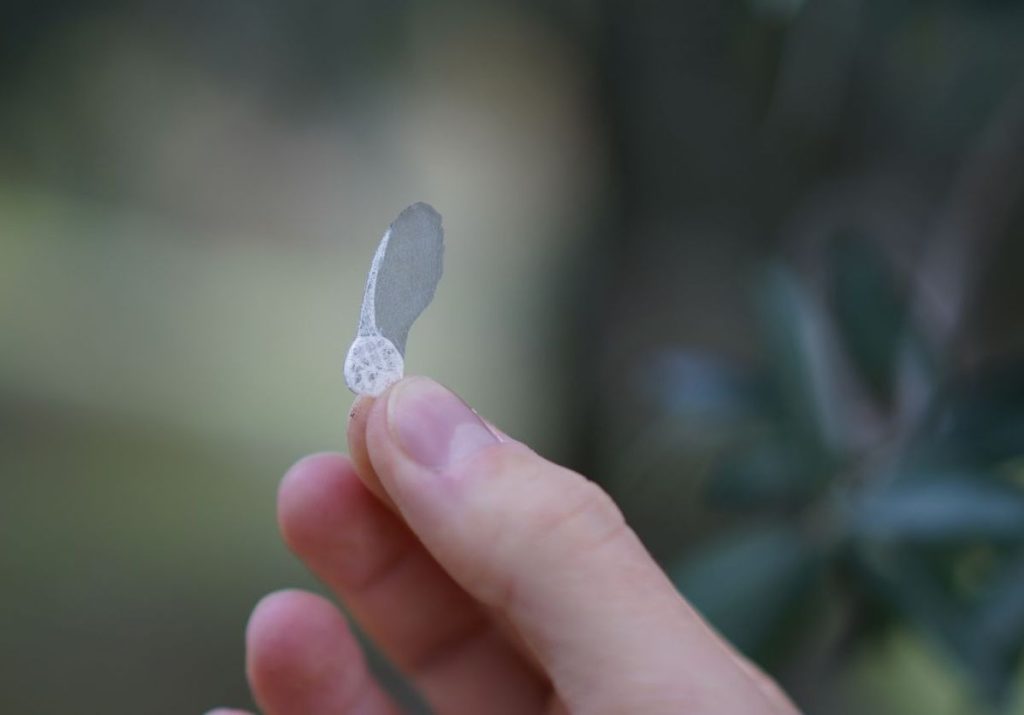 Acer i-Seed, la primera semilla artificial fluorescente para un control ecológico de la temperatura del suelo mediante drones