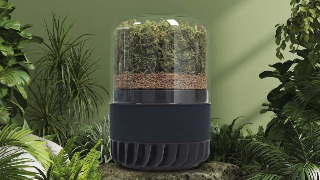 Briiv Pro: el purificador doméstico que usa un bosque en miniatura para filtrar el aire