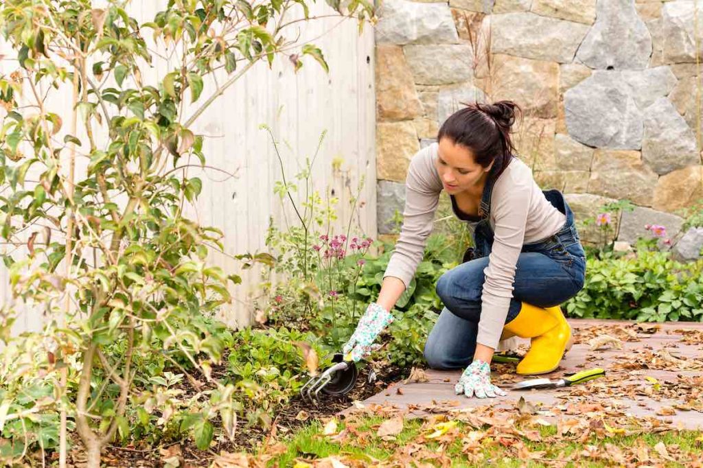 10 beneficios de conservar los restos de plantas en el jardín