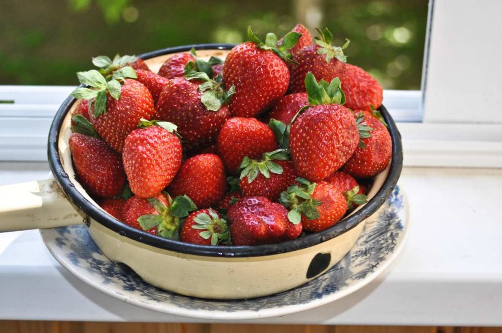 Cómo deshidratar fresas en tu horno o deshidratador para conservarlas mucho tiempo