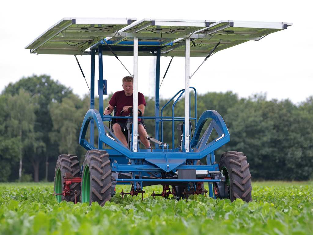 Hombre operando un tractor solar azul en medio de un campo verde. El tractor cuenta con paneles solares en la parte superior y neumáticos grandes para moverse por terrenos agrícolas. Está diseñado para funcionar con energía solar, ayudando en la recolección o el mantenimiento de cultivos sin necesidad de combustible convencional.