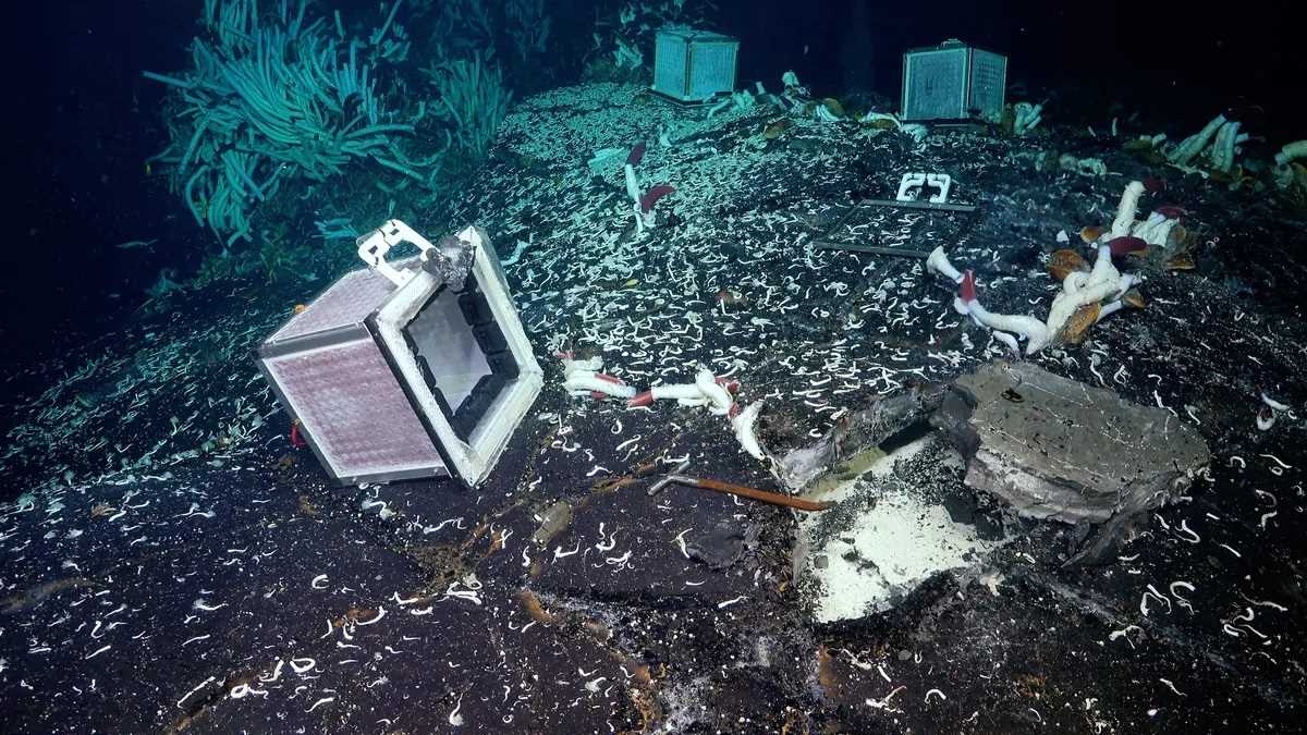 Una mirada al interior de la cavidad subterránea, cálida y llena de fluidos, que se descubrió en los respiraderos hidrotermales de las profundidades marinas. Se utilizó un cincel para excavar en el subsuelo.