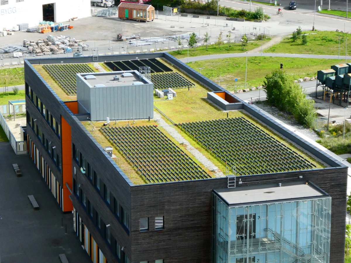 Løren School instala el primer tejado verde con paneles solares fotovoltaicos verticales de Oslo