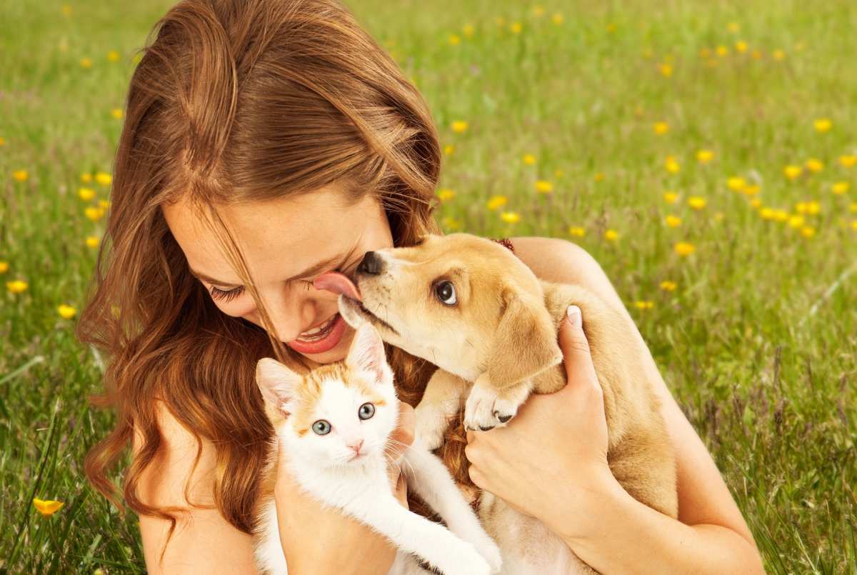 Nuevo estudio descubre que los animales de compañía pueden aumentar la felicidad de una persona en un nivel comparable al matrimonio o las relaciones cercanas