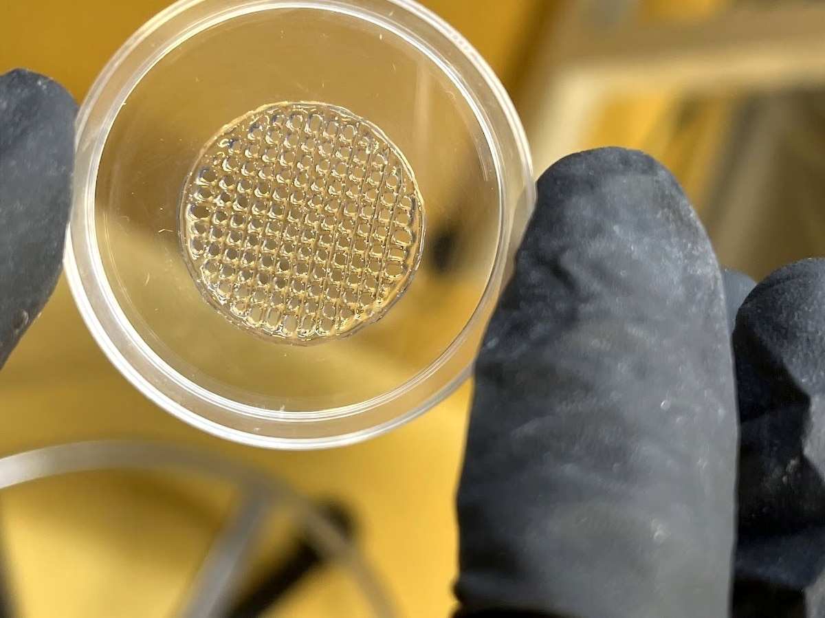 Equipo internacional desarrolla imitaciones de piel humana mediante impresión 3D, su objetivo es reemplazar los experimentos con animales en la industria cosmética