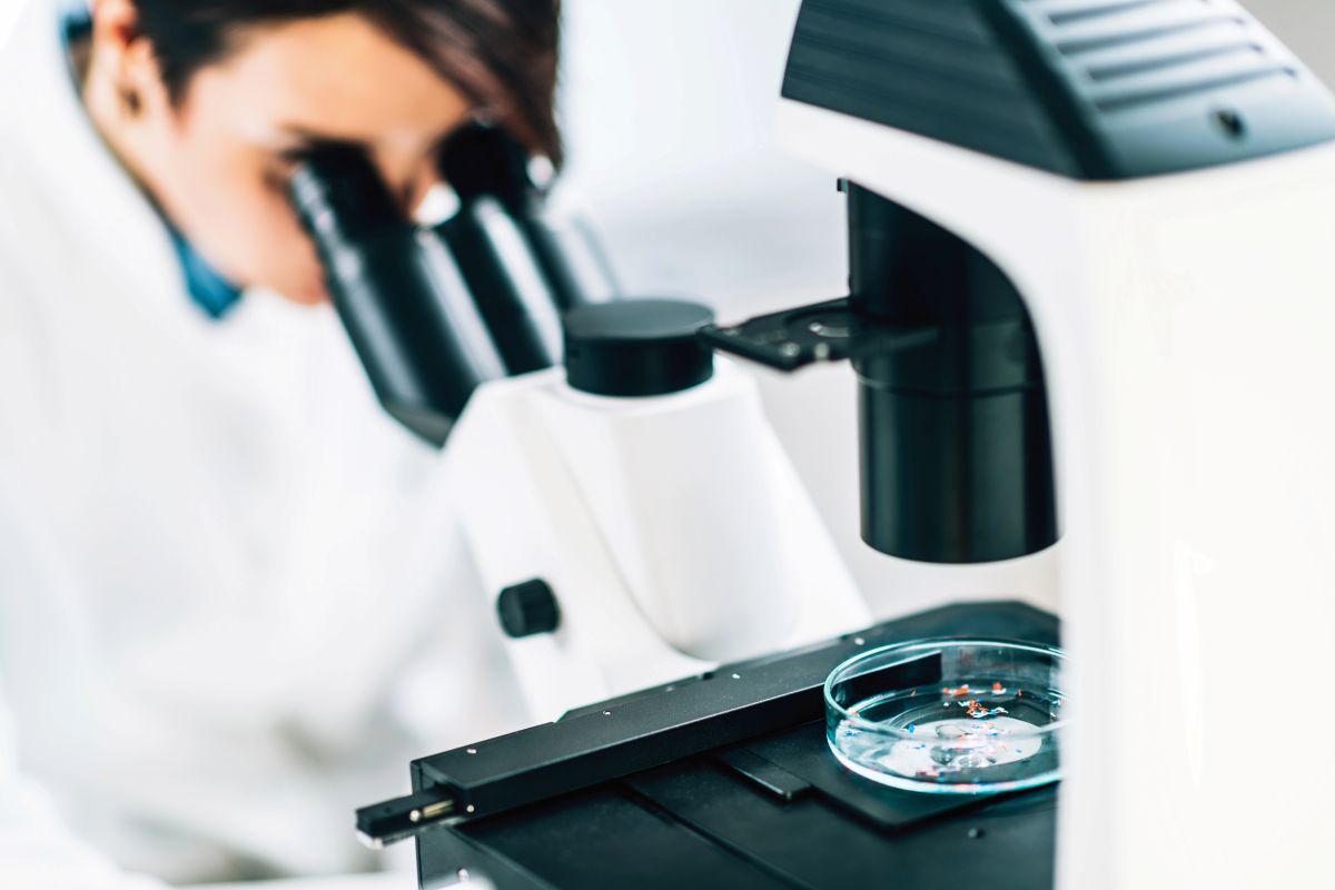 Científicos descubren por primera vez microplásticos en el líquido folicular ovárico, con más de 2.000 partículas por mililitro, posible riesgo para la fertilidad femenina