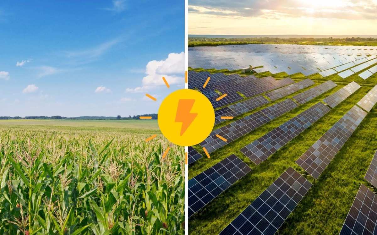 Nuevo estudio afirma que reemplazar solo el 3,2% del maíz para etanol por paneles solares cuadruplicaría la energía solar de EE.UU.
