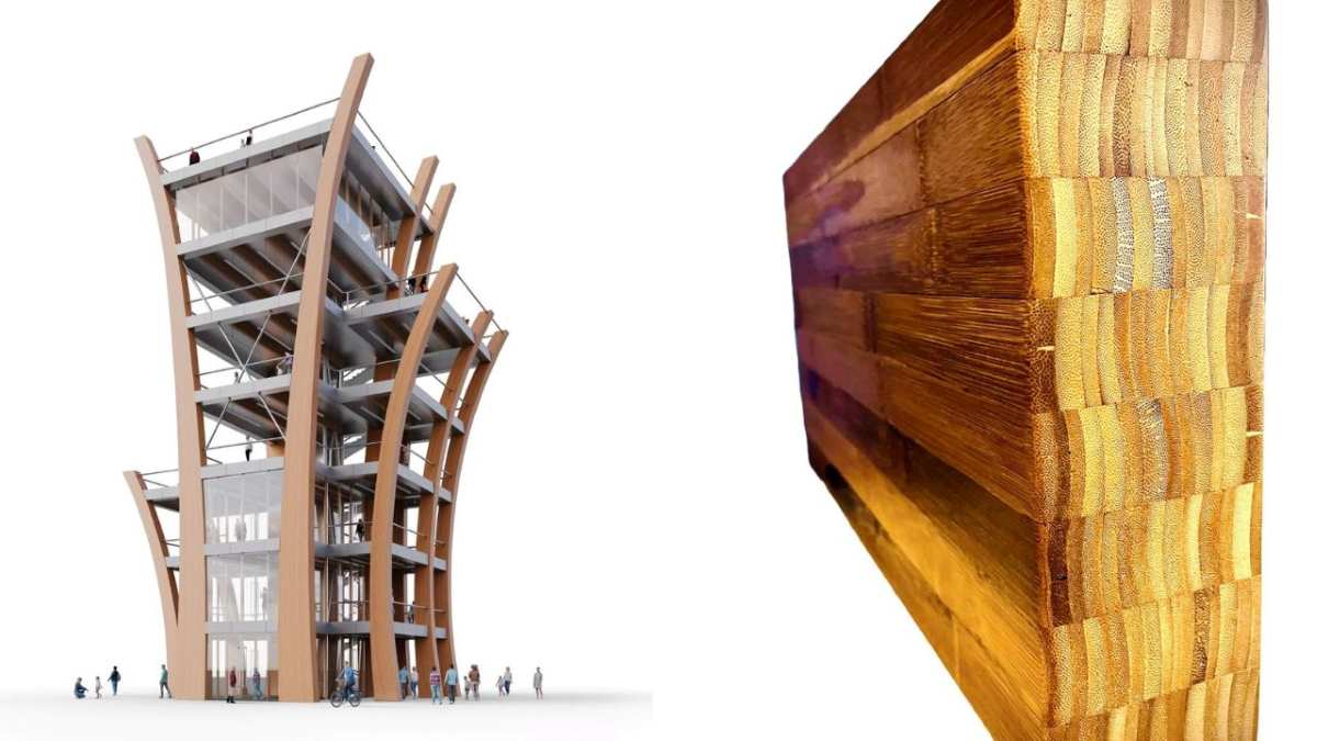 Startup estadounidense planea construir en St. Louis la primera torre del mundo hecha con bambú estructural, tres veces más resistente que el acero