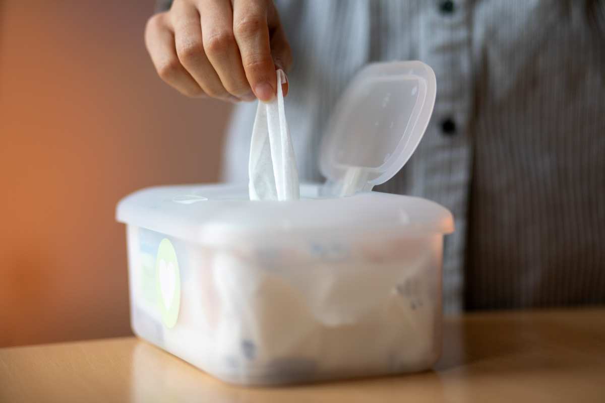 Nuevo estudio sugiere que los bioplásticos a base de almidón, considerados biodegradables y sostenibles, podrían ser tan tóxicos como los plásticos derivados del petróleo